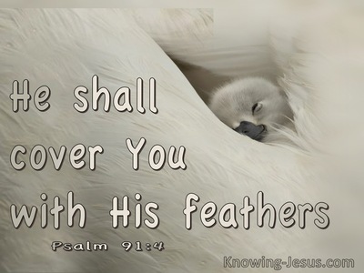Psalm 91:4 He Shall Cover You With His Feathers (cream)